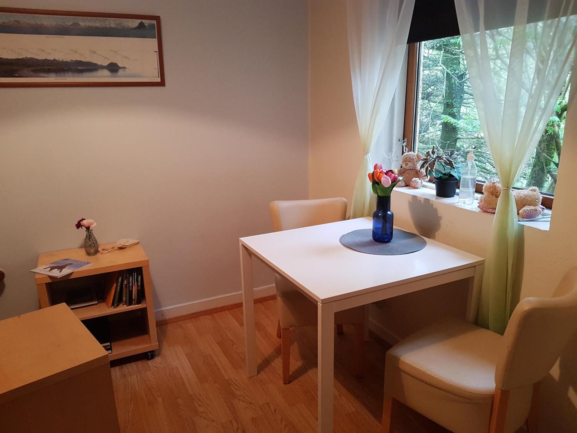 Skjolsteinar Apartment Grundarfjordur Room photo